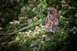 01de3b68bbfcf7dc7ed3136144f69369dd27e45d46