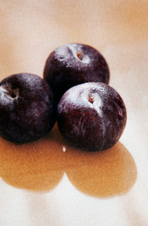 plums shamshad khan photography.jpg