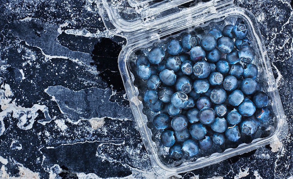 blue berries shamshad khan photography.jpg