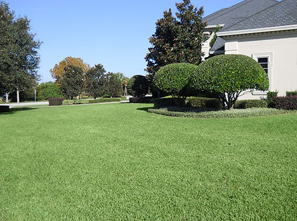 Len's Lawns Logo Lawn Maintenance & Care