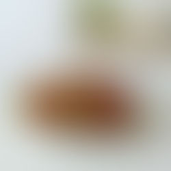 🍪 Hora de fazer Bolachas!