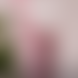 Batido de ananás, coco e frutos vermelhos