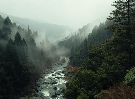 Natural Forest view with a Water Stream that represents Asgard Philosophy