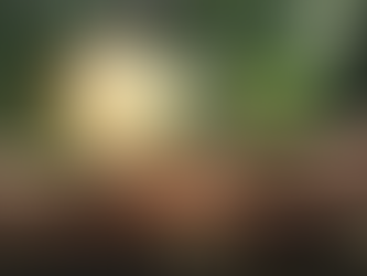 Matriz de aspectos e impactos 