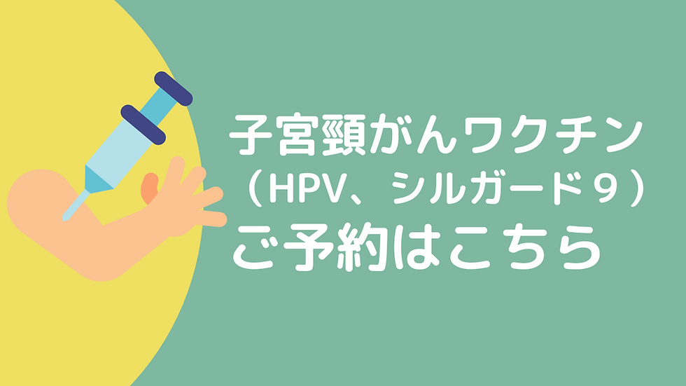 シルガード.png