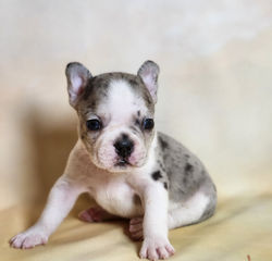 20251025_190122_edited