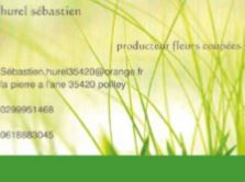 Hurel_Sébastien_-_Production_fleurs_-_Po