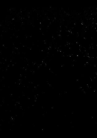 Screen Shot 2019-04-23 at 8.26.51 PM.png