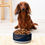 Miniaturbild: Pet's Sports Yachting bowl