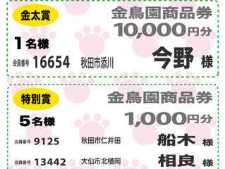 【ワンダフル会員セール当選者発表】