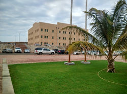 IMG_20151203_114653_HDR