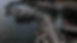mccain dock2.png