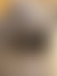 暑中お見舞い申し上げます