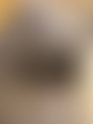 暑中お見舞い申し上げます