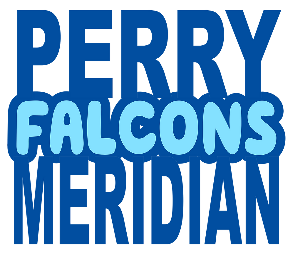 YOUTH Falcons Bubble