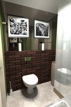 Гостевой санузел