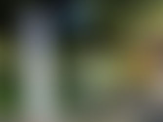 日本鳥学会2024 -初日-