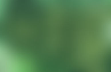 MEN'S HEALTH AND HOMEOPATHY