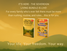 The Story Behind Our First Book, and What’s Coming Next