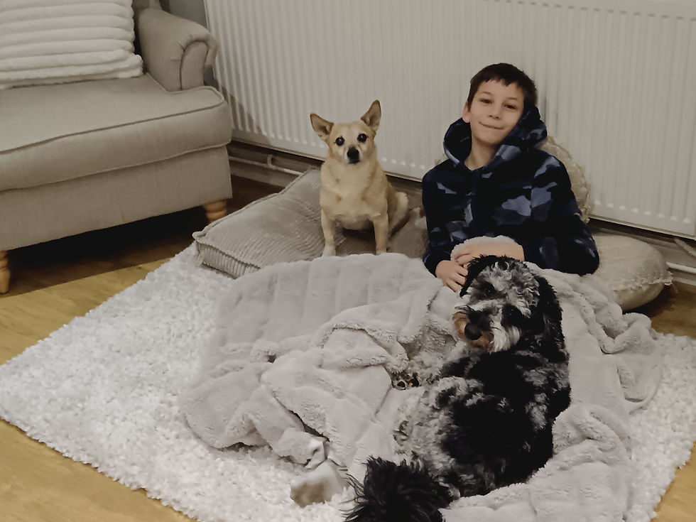 A Week in Spalding with Murphy, Arnie, and Luna
