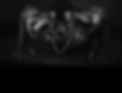CB139855-9243-4883-BB54-09C17DAF984A.jpeg