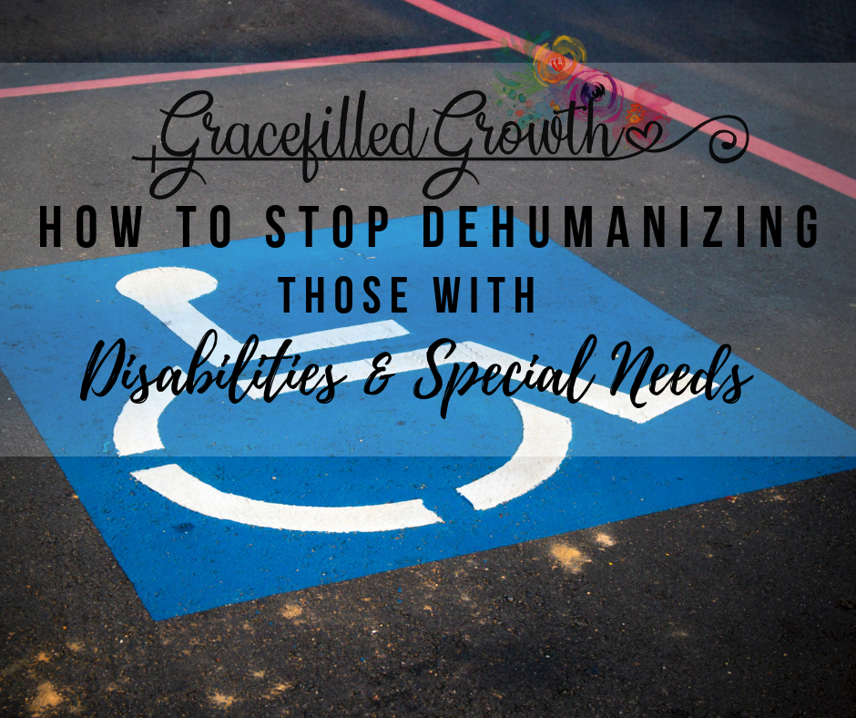 Special Needs Parenting. Advocate. How to stop dehumanizing those with disabilities and special needs. Ben's Adventures book.