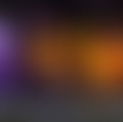 The Native Nook at Plant Shop After Dark