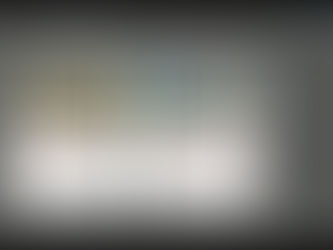 Rochester Homes and BBS Homes Foyer Window Clings