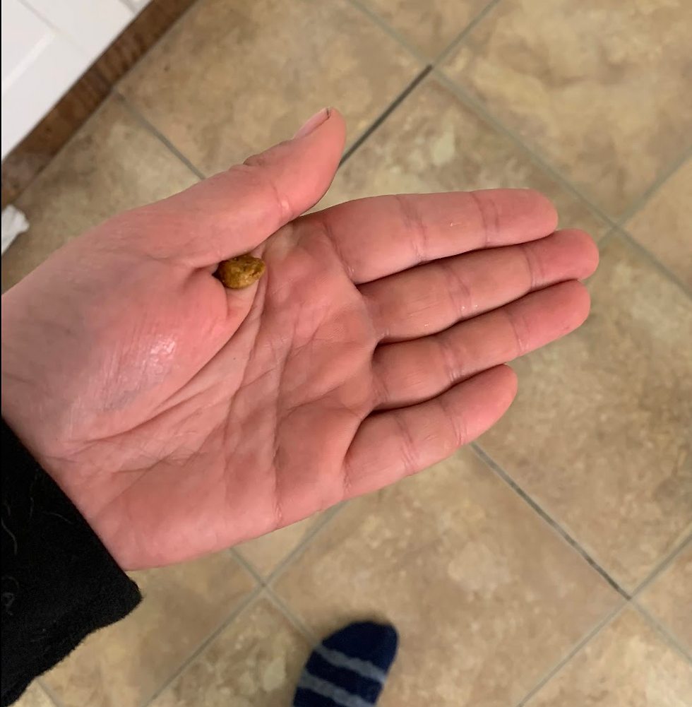 Treat is tucked between the thumb and side of the hand. Hand is flat.
