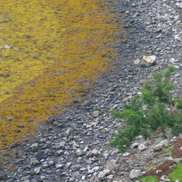 Geolands