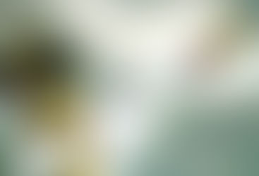 중국 前국가대표 하오하이동, 공산당 비판 후 선수기록 삭제