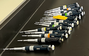 pipette set up 5-1 (small)_edited.png