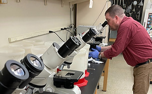 microscope set up 3_edited.jpg