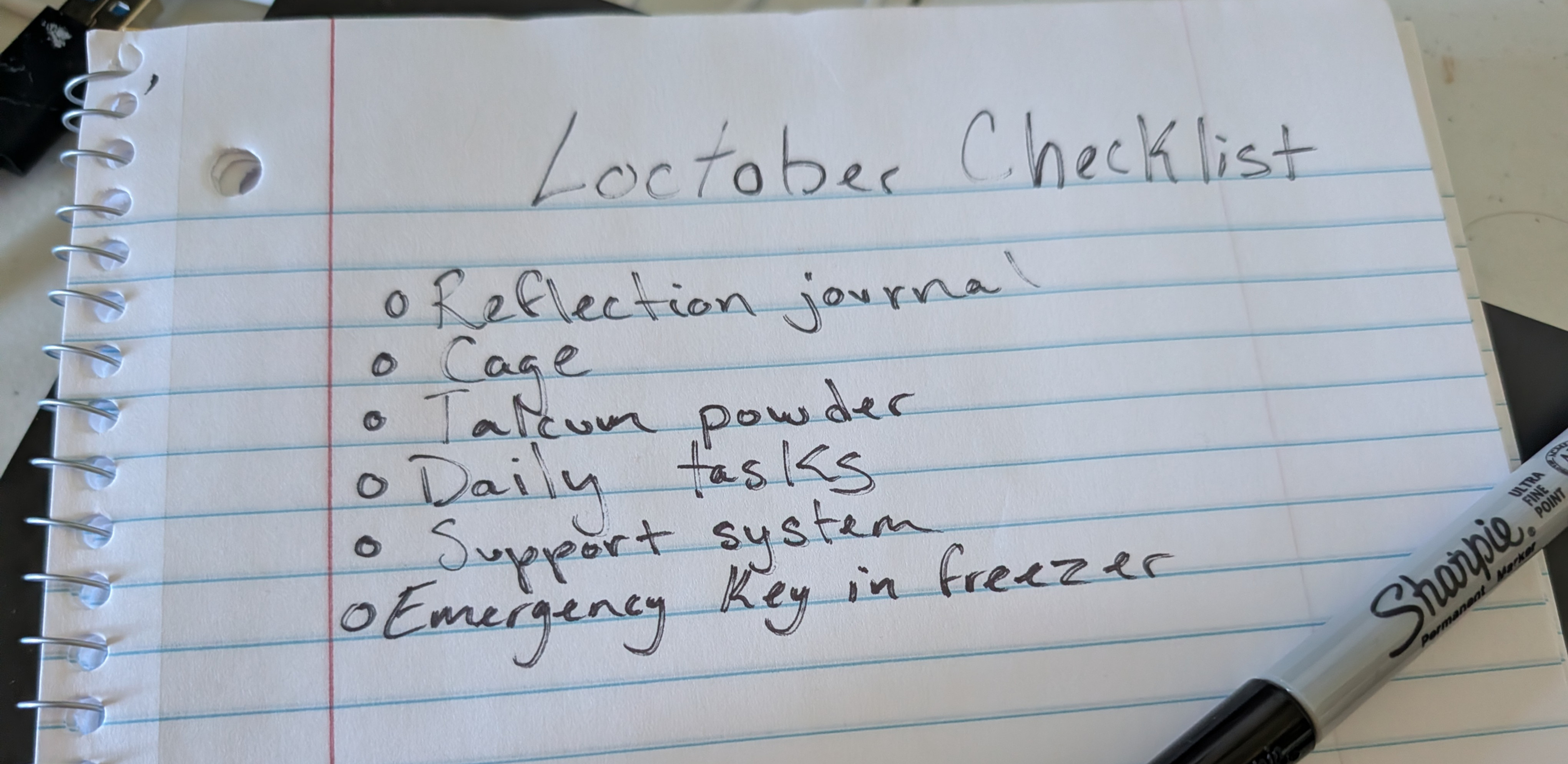 locktober checklist for good chasitty slaves