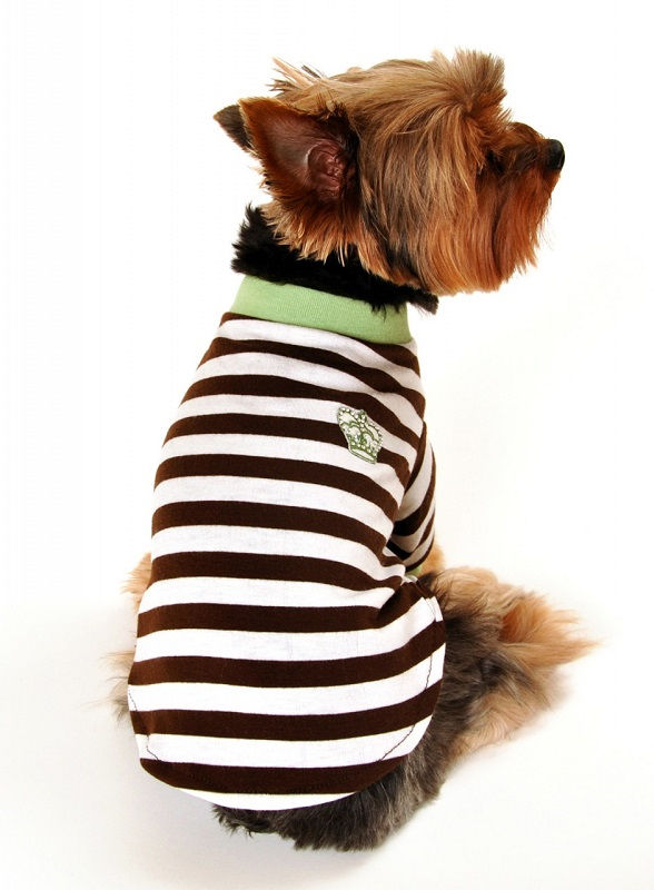 Miniature : Crown Striped Tee