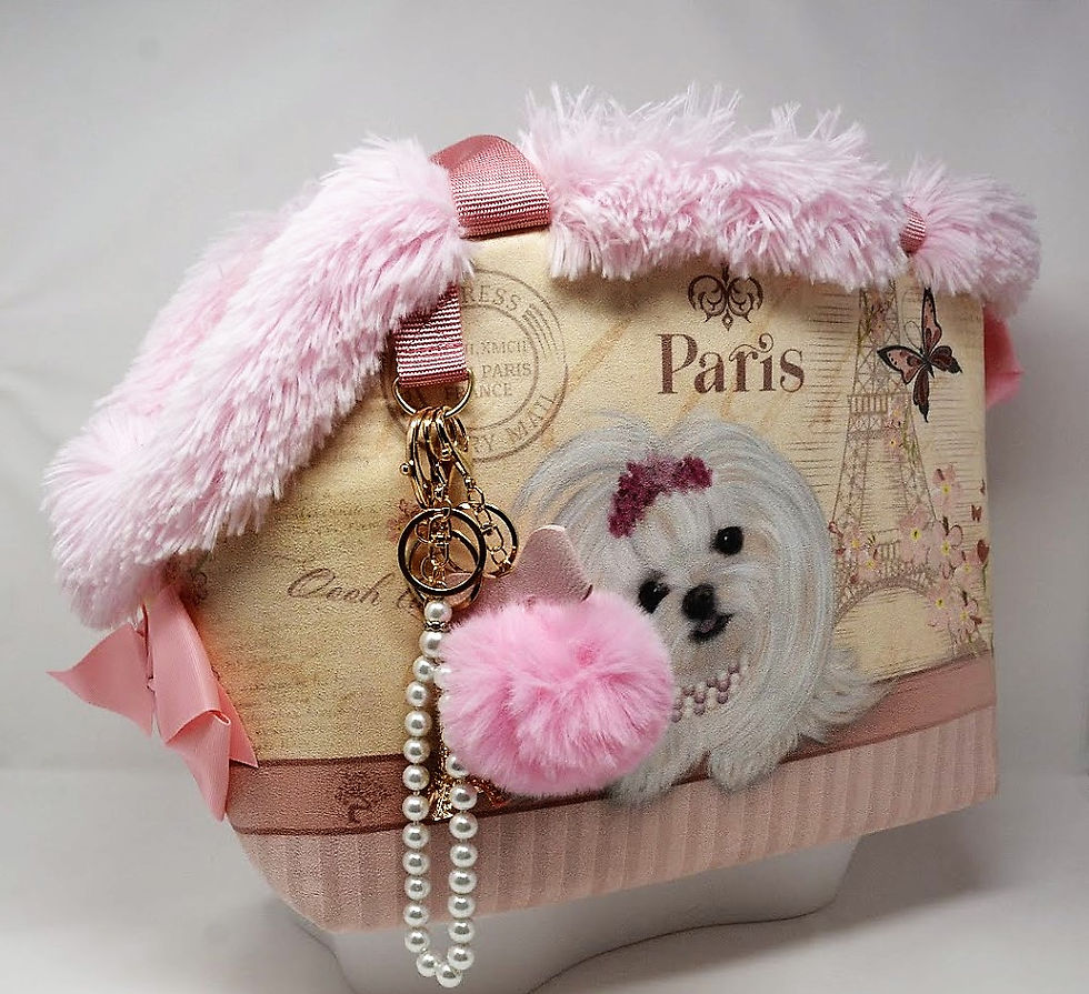 Thumbnail: Maltese in Paris Pet Carrier
