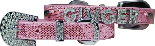 Miniature : Custom Name Collar