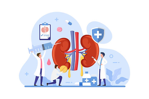 doctor_make_kidney_examination.jpg