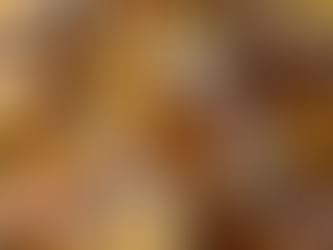 Discovering the Best Indian Restaurant for Parties in New Orleans