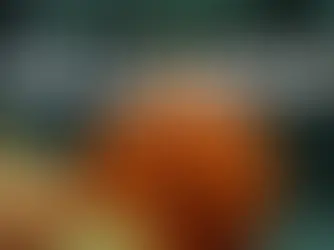 Pumpkins All the Way Down