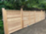 Cedar Fence