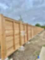 Cedar Fence