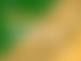 公共廁所新典範:從澳洲經驗看智慧、永續與包容治理