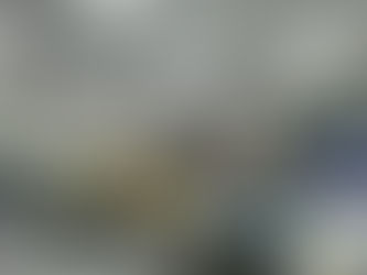 從政策到實踐 TIEQM助力單位落實綠色辦公