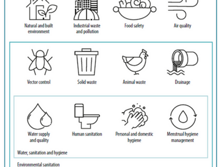 不是只有洗手與廁所:環境衛生框架,讓 WASH 真正「變革」