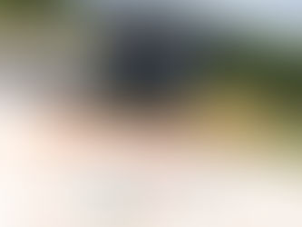 荷蘭經驗啟示:打造公平、智慧與永續的台灣公廁管理新典範