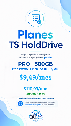 Plan Pro 500GB