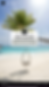 Tropical beach with a swinging chair, palm trees, and turquoise water. Text asks, “Where’s your dream vacation destination?” Sunny sky.