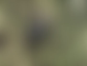 轟木院長の夏休み①