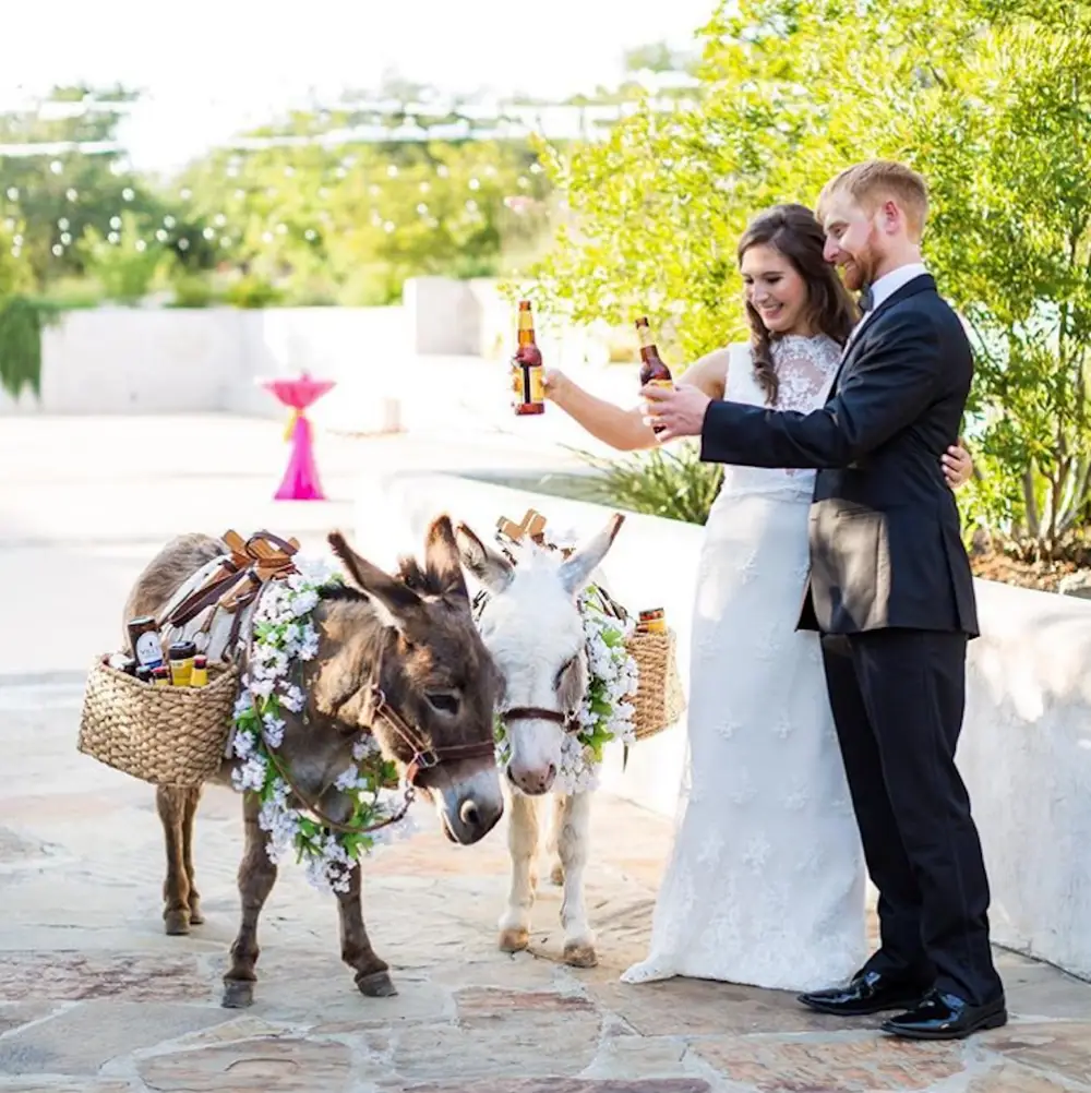 beer Donkey.webp